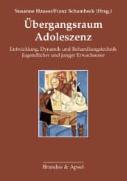 Cover von Übergangsraum Adoleszenz