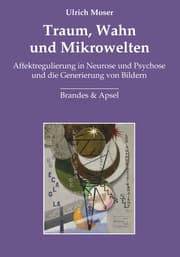 Cover von Traum, Wahn und Mikrowelten