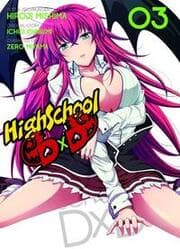 Cover von HighSchool DxD 3