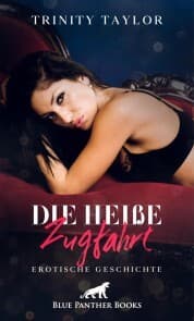 Cover von Die heiße Zugfahrt , Erotische Geschichte