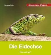 Cover von Die Eidechse