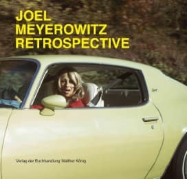 Cover von Joel Meyerowitz: Retrospektive