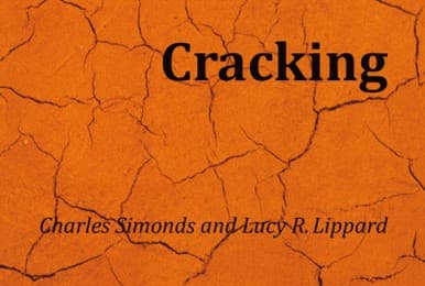 Cover von Charles Simonds and Lucy R. Lippard. Cracking