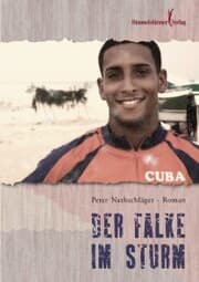Cover von Der Falke im Sturm