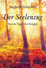 Cover von Der Seelenzug