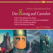 Cover von Der König auf Camelot 1-4