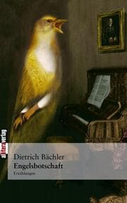 Cover von Engelsbotschaft