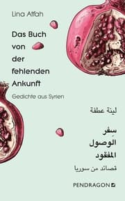 Cover von Das Buch von der fehlenden Ankunft