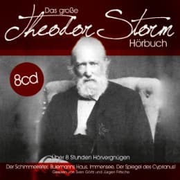 Cover von Das große Theodor Storm Hörbuc