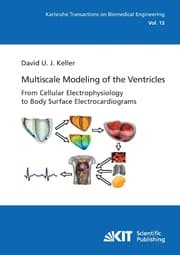 Cover von Multiscale Modeling of the Ventricles: From Cellular Electrophysiology to Body Surface Electrocardiograms