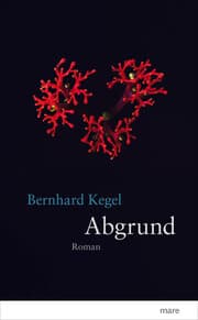Cover von Abgrund