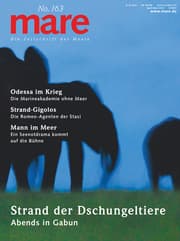 Cover von mare 163 - Strand der Dschungeltiere