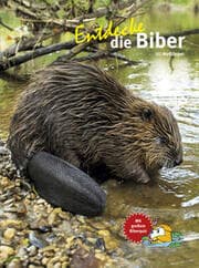 Cover von Entdecke die Biber
