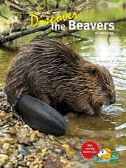 Cover von Discover the Beavers