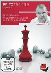 Cover von Understanding Middlegame Strategies Vol. 2 - Practical Play
