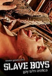 Cover von Slave Boys