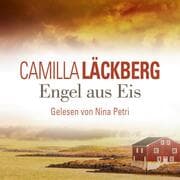 Cover von Engel aus Eis