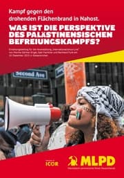 Cover von Was ist die Perspektive des palästinensischen Befreiungskampfs?