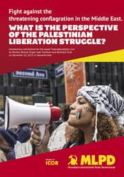 Cover von What is the perspective of the palestinian liberation struggle?