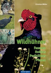 Cover von Wildhühner