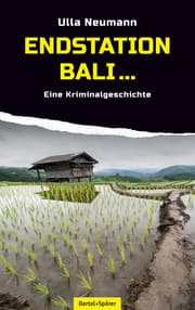 Cover von Endstation Bali...