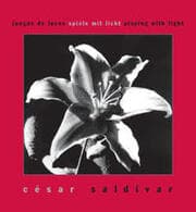 Cover von Juegos de luces - El sexo masculino