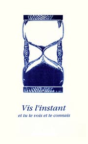 Cover von Vis l'instant