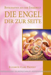Cover von Die Engel Dir zur Seite