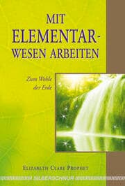 Cover von Mit Elementarwesen arbeiten