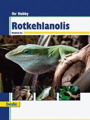 Cover von Rotkehlanolis