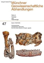 Cover von Orycteropodidae (Tubulidentata, Mammalia) from the Early Miocene of Napak, Uganda