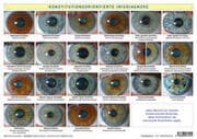 Cover von Konstitutionsorientierte Irisdiagnose