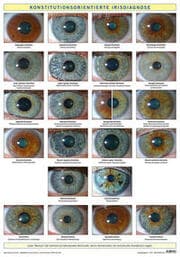 Cover von Konstitutionsorientierte Irisdiagnose