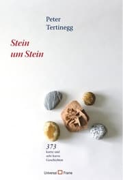 Cover von Stein um Stein