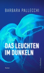 Cover von Das Leuchten im Dunkeln