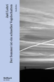 Cover von Der Sommer ist ein schneller Vogelschatten