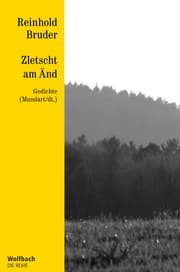 Cover von Zletscht am Änd