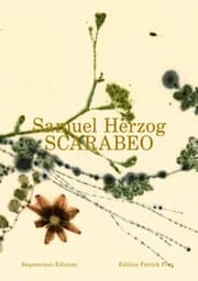 Cover von Scarabeo (IT)
