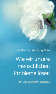 Cover von Wie wir unsere Probleme lösen