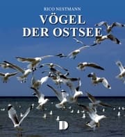 Cover von Vögel der Ostsee