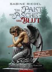 Cover von Ein Pakt aus Asche und Blut - Sonderausgabe