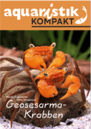 Cover von Geosesarma-Krabben - aquaristik KOMPAKT