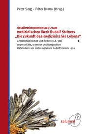 Cover von Studienkommentare zum medizinischen Werk Rudolf Steiners 'Die Zukunft des medizinischen Lebens' 1