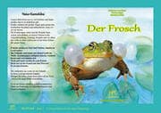 Cover von Der Frosch