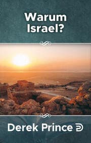 Cover von Warum Israel?