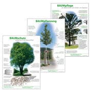 Cover von Infoposter Baumpflanzung, Baumpflege, Baumschutz