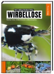 Cover von Wirbellose