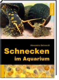Cover von Schnecken im Aquarium