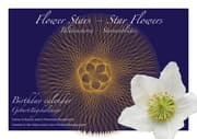 Cover von Blütensterne - Sternenblüten/Flower Stars - Star Flowers