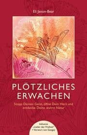 Cover von Plötzliches Erwachen
